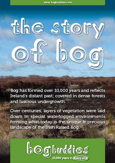 Tying the Knot - Wedding and Engagement Gift