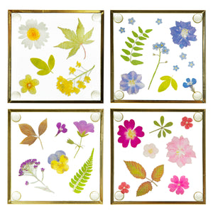 Pressed Flowers Glass Coasters